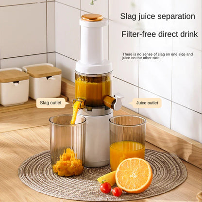 The Mini Fruit Juicer