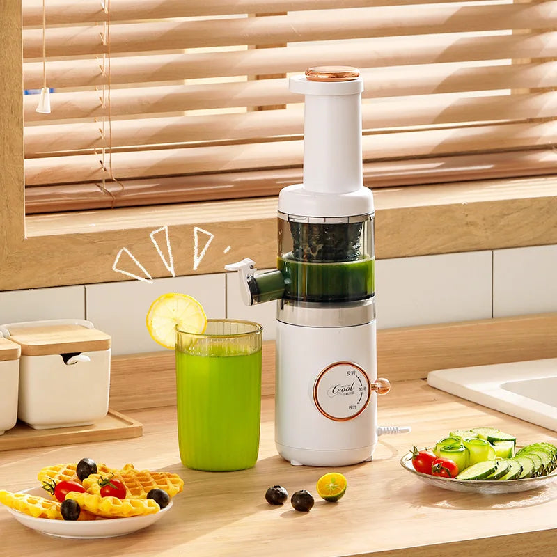 The Mini Fruit Juicer